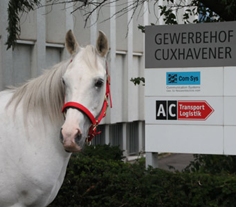 AC Transport.Logistik - Sitz Cuxhavener Str. 6